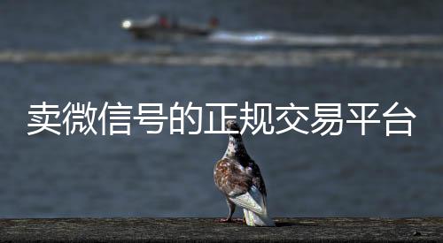 卖微信号的正规交24小时vx回收平台易平台（卖微信号的正规交易平台）