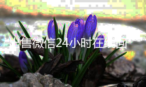 出售微信24小时在线长期高价回收各种微信号回收（出售微信24小时在线回收联系方式）