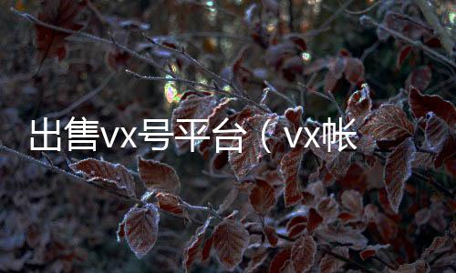 出售vx号24小时高价回收微信平台（vx帐号出售）
