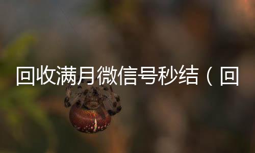 回收满月微信号24小时收微信秒结（回收3月以上微信号）
