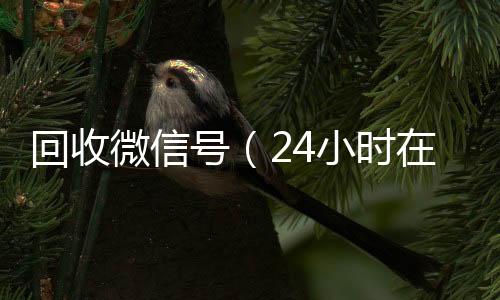 回收微信号（微信回收正规平台24小时在线回收微信号）