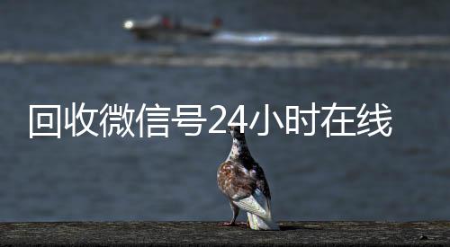 回收微信号24小时在秒结款微信回收平台线秒结（24小时在线回收微信号专业平台）