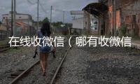  在线收微信（哪有收微信的平台）