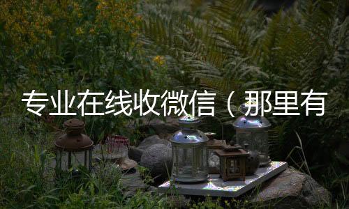 专业在线收微收购微信号秒结账信（那里有收微信的）