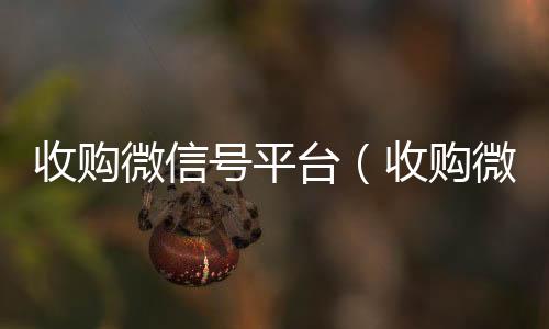收购微信号平台长期收购微信号（收购微信号平台违法吗）