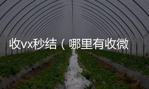 收vx秒结（收微信的联系方式24小时回收哪里有收微信号的秒结）