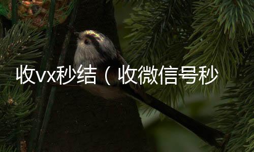 收vx秒结高价回收300元秒结微信（收微信号秒结钱的）