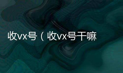 收vx号（高价回收wx联系方式收vx号干嘛的）