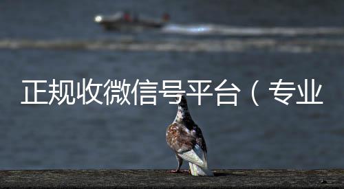 正规收微信号24小时回收vx平台（专业收微信号）