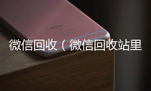 微信回收（微信回24小时回收微信收站里恢复的东西在哪里查看）