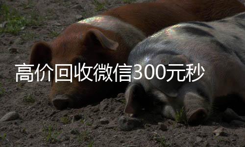 高价回收微信3微信回收正规平台00元秒结（回收微信价格）