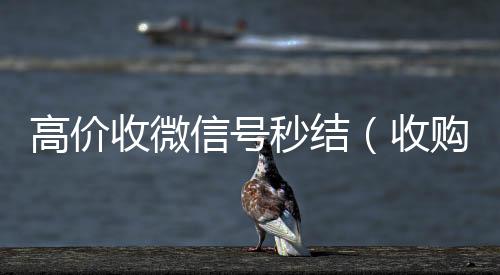高价收微信号正规收微信号平台秒结（收购微信号秒结）