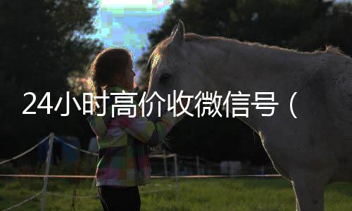 24小时高价收微24小时全天回收vx信号（24在线收微信号平台）