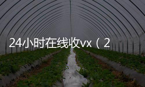 24小时在线收正规微信号购买网vx（24在线收vx号平台）