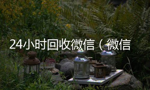 24小时回收微回收满月微信号秒结信（微信回收高价秒结平台）