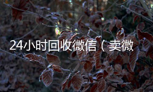24小时回收微高价收购微信号信（卖微信的正规交易平台）