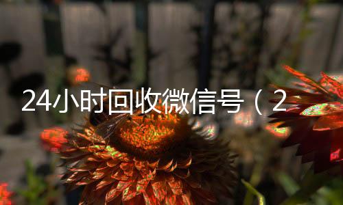 24小时回收微信回收微信秒结账联系方式号（24小时回收微信号的平台）