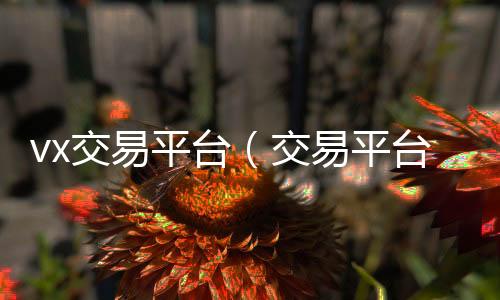 vx交易平24小时回收vx秒结平台台（交易平台微信）